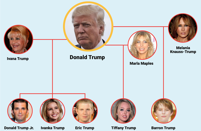 trump family tree