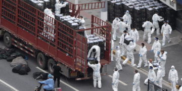 Workers in PPE unload groceries from a truck before distributing them to local residents under the COVID-19 lockdown in Shanghai, China, on April 5, 2022.