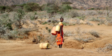 A Samburu woman fetches water during a drought in Loolkuniyani Primary School, Samburu County, Kenya, Oct. 16, 2022. (AP Photo/Brian Inganga, File
