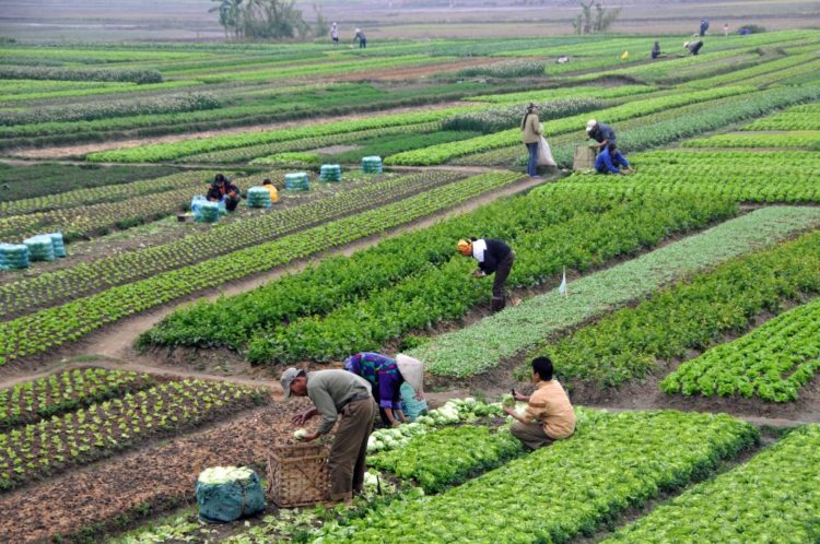 HP to bring 2,00 hectares under organic farming, develop 200 bio-villages