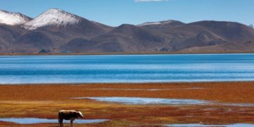 A study predicts significant expansion of Tibetan Plateau lakes by 2100 due to climate change, leading to major land loss and necessitating urgent environmental and economic adaptation strategies.