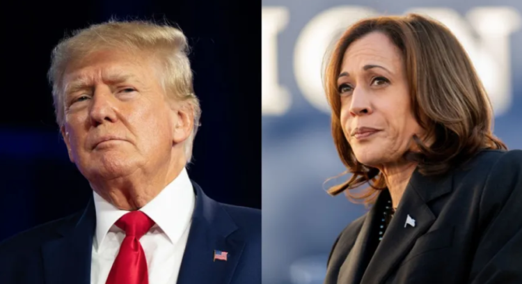 2024 United States presidential election. Photo :NEWSNATION