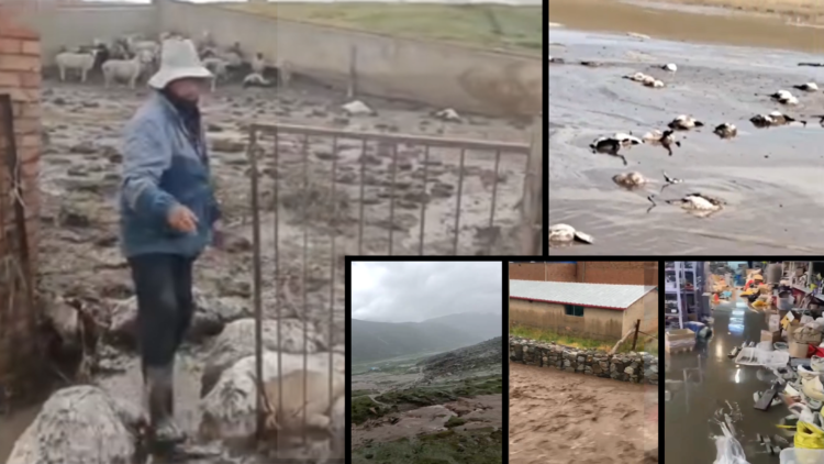 བོད་མཚོ་སྔོན་ཕྱོགས་སུ་ཆུ་ལོག་གི་གནོད་སྐྱོན་ཐེབས་ཡོད་འདུག བོད་ཀྱི་དུས་བབ་གསར་ཁང་གི་པར། ༠༤།༠༩།༢༠༢༤