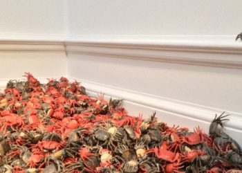 ‘He Xie’ (River Crabs) by Ai Weiwei. Image credit Ross Holder.