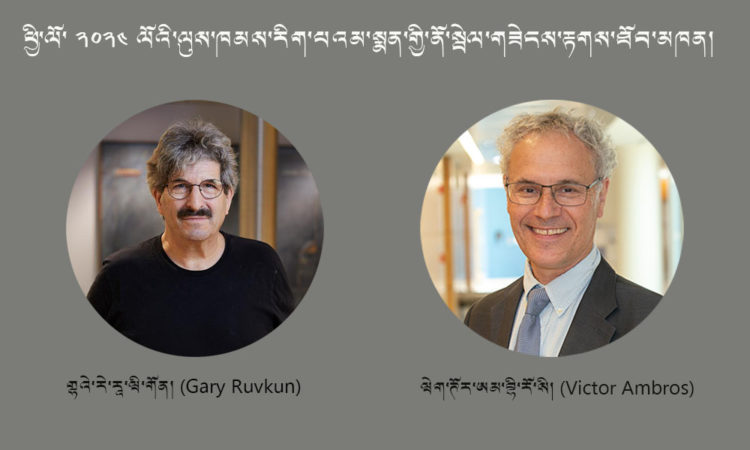 ཕྱི་ལོ་ ༢༠༢༤ ལོའི་ལུས་ཁམས་རིག་པའི་ནོར་སྦེལ་གཟེངས་རྟགས་ཡོངས་བསྒྲགས་གནང་།