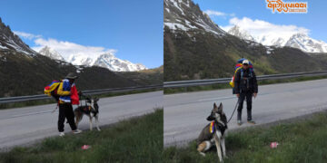 བོད་མི་གཉིས་ཀྱིས་ཧྥ་རན་སིའི་ནང་ཞི་བའི་གོམ་བགྲོད་བྱེད་བཞིན་འདུག པར་འབྲེལ་ཡོད་ནས་འདི་གའི་གསར་ཁང་ལ་མཁོ་སྤྲོད་གནང་། ༢༠༢༥།༥།༣༠