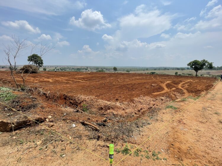 ཧོན་སུར་དུ་ས་བགོས་ལས་གཞི་སྤེལ་བཞིན་པ།