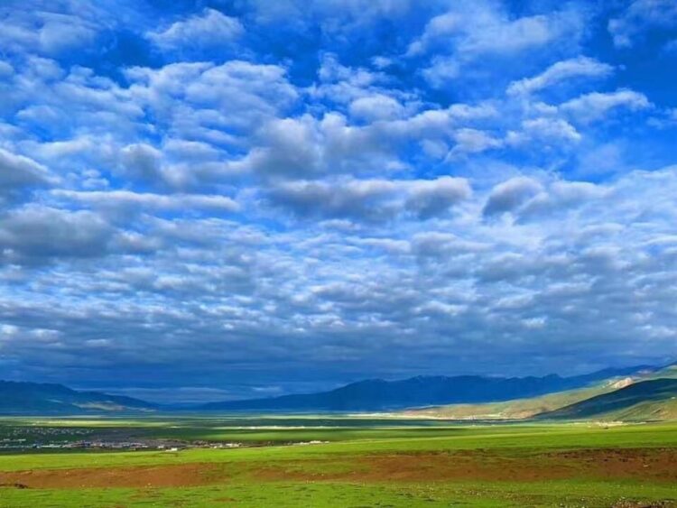 པར་འབྲེལ་ཡོད་ནས་འདི་གར་མཁོ་སྤྲོད་གནང་།