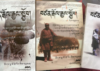 ཙོང་ཁ་ལྷ་མོ་ཚེ་རིང་ལགས་ཀྱིས་བརྩམས་པའི་བཙན་རྒོལ་རྒྱལ་སྐྱོབ་ཀྱི་དེབ་ཕྲེང་འགའ།