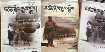 ཙོང་ཁ་ལྷ་མོ་ཚེ་རིང་ལགས་ཀྱིས་བརྩམས་པའི་བཙན་རྒོལ་རྒྱལ་སྐྱོབ་ཀྱི་དེབ་ཕྲེང་འགའ།