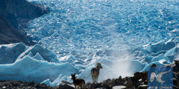 Gangbu Glacier in Tibet (Xinhua/Purbu Tashi)