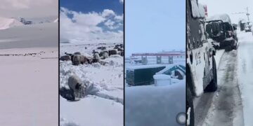 མངའ་རིས་ས་ཁུལ་ཁག་ཏུ་ཁ་བ་བབས་པའི་རྣམ་པ། པར་བོད་ཀྱི་དུས་བབ་ཀྱིས་བསྒྲིགས།